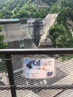 黒部ダムの写真・動画_image_438343