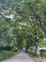 外濠公園の写真・動画_image_438425