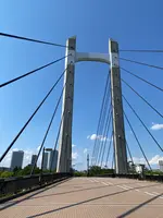 木場公園の写真・動画_image_438429