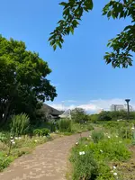 木場公園の写真・動画_image_438430