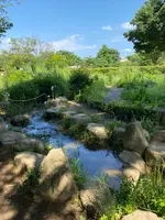 木場公園の写真・動画_image_438431