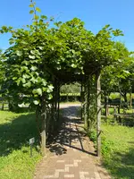 木場公園の写真・動画_image_438432