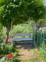 木場公園の写真・動画_image_438433
