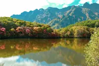 戸隠神社の写真・動画_image_438446