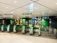 東京駅の写真・動画_image_439374