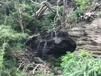 大房不動滝の写真・動画_image_439787