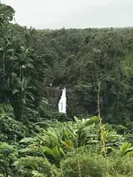 アカカ滝の写真・動画_image_439850