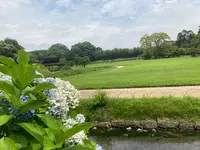 岡山後楽園の写真・動画_image_439908