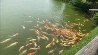 岡山後楽園の写真・動画_image_439921