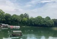 岡山後楽園の写真・動画_image_439926