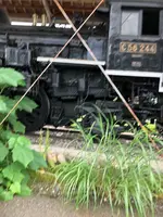 蒸気機関車 C58-244の写真・動画_image_440119