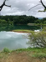 道の駅 いりひろせの写真・動画_image_440185