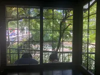 はつ花 本店の写真・動画_image_440779