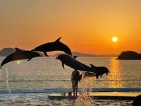 四国水族館の写真・動画_image_440833