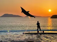 四国水族館の写真・動画_image_440834