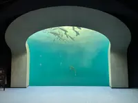 四国水族館の写真・動画_image_440835