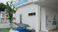 道の駅 天草市イルカセンターの写真・動画_image_441032