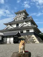 長浜城の写真・動画_image_442118