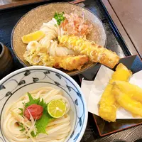 うどん馳走 山石土平の写真・動画_image_442162