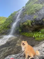 垂水の滝の写真・動画_image_442176