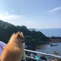 珠洲岬（聖域の岬）の写真・動画_image_442190