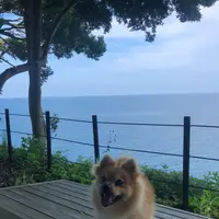 珠洲岬（聖域の岬）の写真・動画_image_442192