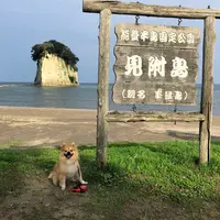 見附島の写真・動画_image_442198