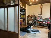 anotherfaceの写真・動画_image_442222