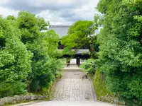 知恩院の写真・動画_image_442349