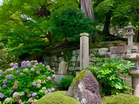 知恩院の写真・動画_image_442357