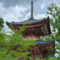 知恩院の写真・動画_image_442358