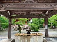 知恩院の写真・動画_image_442359