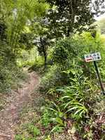 音楽寺の写真・動画_image_442482