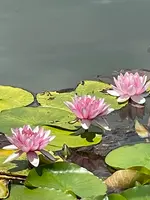 久昌寺納経所の写真・動画_image_442497