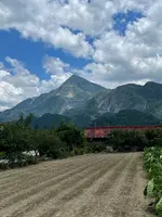 弁天茶屋の写真・動画_image_442552