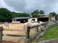 那須高原南ヶ丘牧場の写真・動画_image_444587