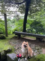 鶴仙渓の写真・動画_image_444898