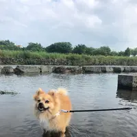 高岡おとぎの森公園の写真・動画_image_444991