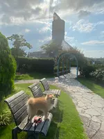 高岡おとぎの森公園の写真・動画_image_444992