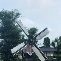 砺波チューリップ公園の写真・動画_image_445013