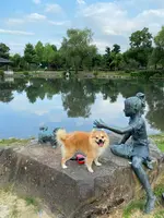 砺波チューリップ公園の写真・動画_image_445014