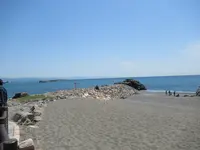 桂浜の写真・動画_image_445304