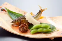 美山町自然文化村河鹿荘の写真・動画_image_445605