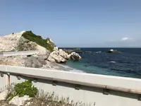 道の駅 白崎海洋公園の写真・動画_image_445824