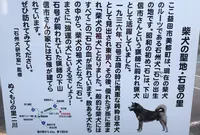 道の駅 サンエイト美都の写真・動画_image_446098