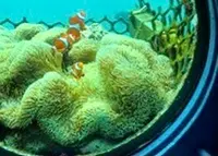 ブセナ海中公園 海中展望塔の写真・動画_image_446722