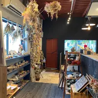 Zakka shop aet▲の写真・動画_image_447261