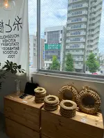 糸と樹の写真・動画_image_447268