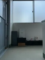 糸と樹の写真・動画_image_447271