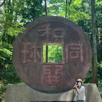 和銅遺跡の写真・動画_image_448148